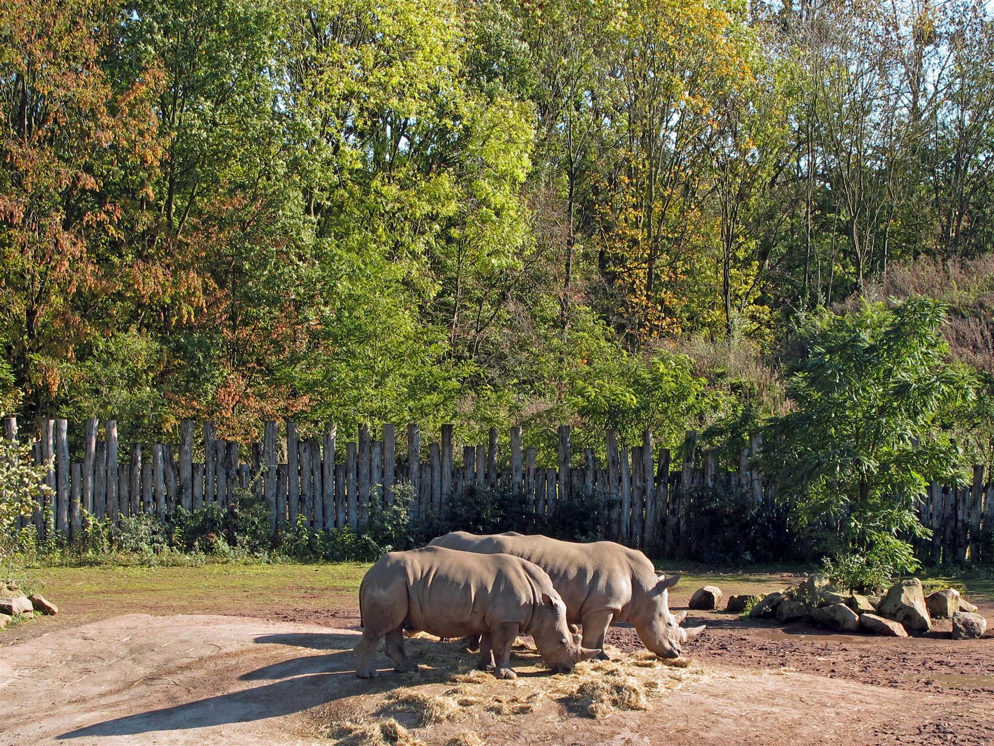 Gaiazoo