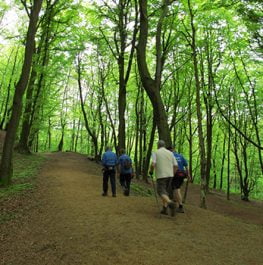 GRAF SAFFENBERG ROUTE (14 KM)