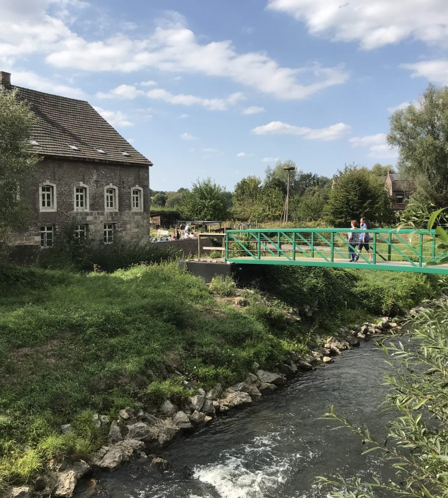 Limburgse molendag