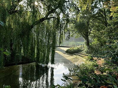 Een rustiek beekje in een prachtige oase van groen <p>Door: Marian van Emden</p>