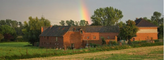 Altdorfer Kohlenhalde