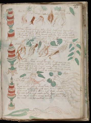 Voynich manuscript