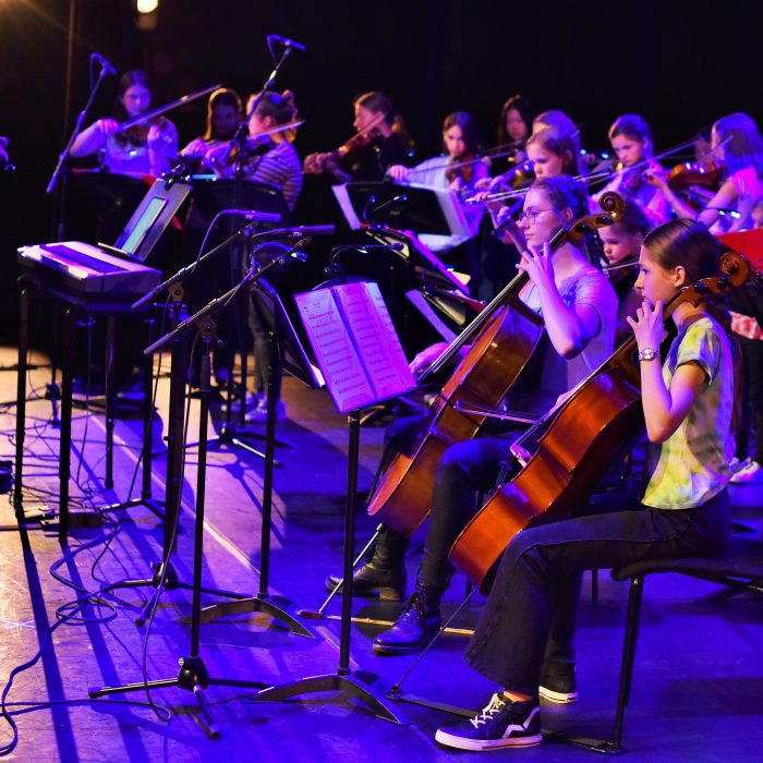 Afbeelding van een orkest