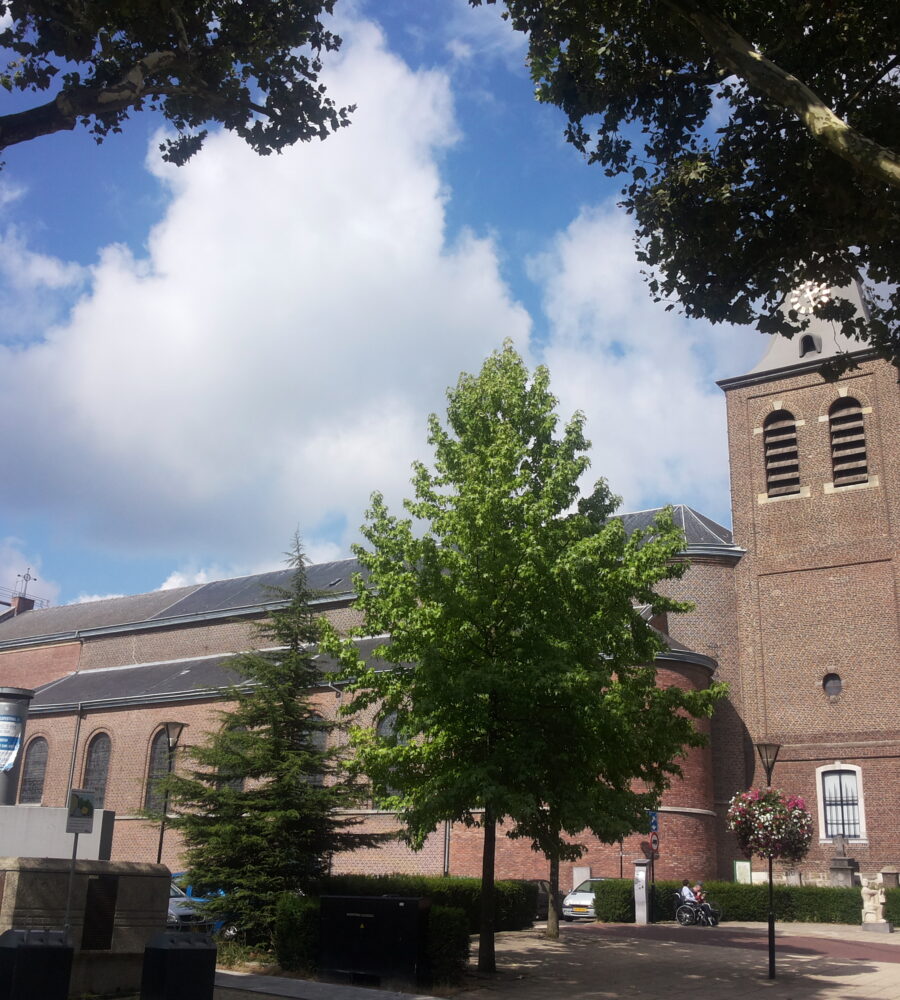 Foto van de gehele Lambertuskerk - het zicht op de kerktoren is geblokkeerd door de takken van een boom