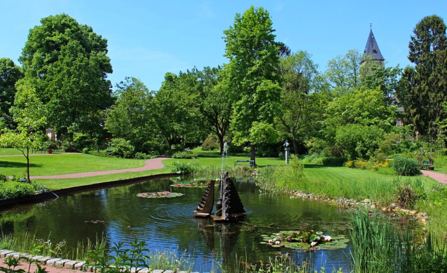 Sfeerfoto Botanische Tuin